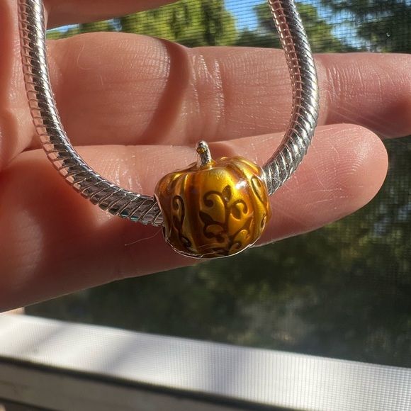 Pumpkin Charm - Picture 4 of 14